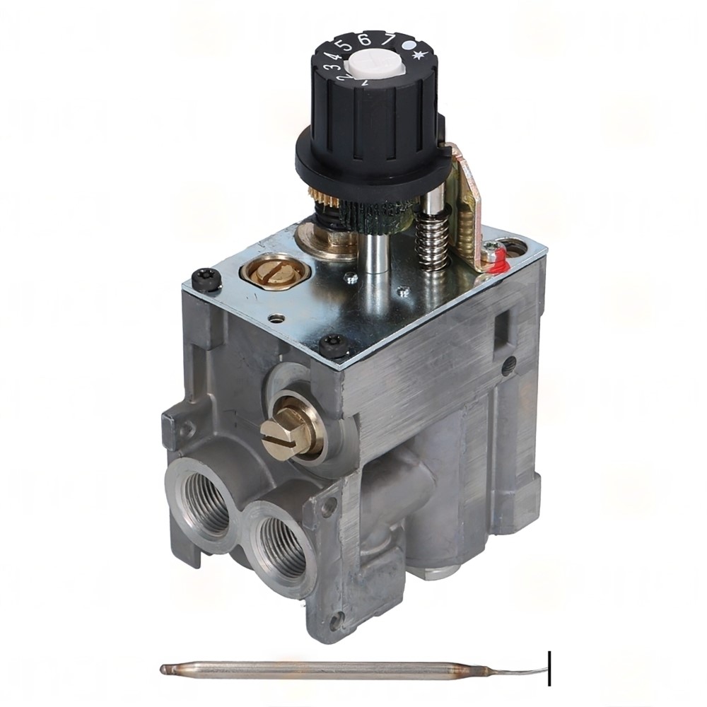 VALVULA EUROSIT 630 100/340ºC HORNO