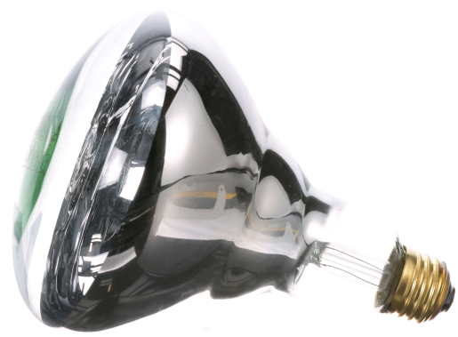 BOMBILLA INFRARROJOS TRANSPARENTE 120V 250W